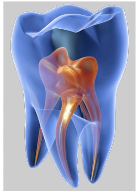 Tratamento de Canal (Endodontia) [Seção 1]